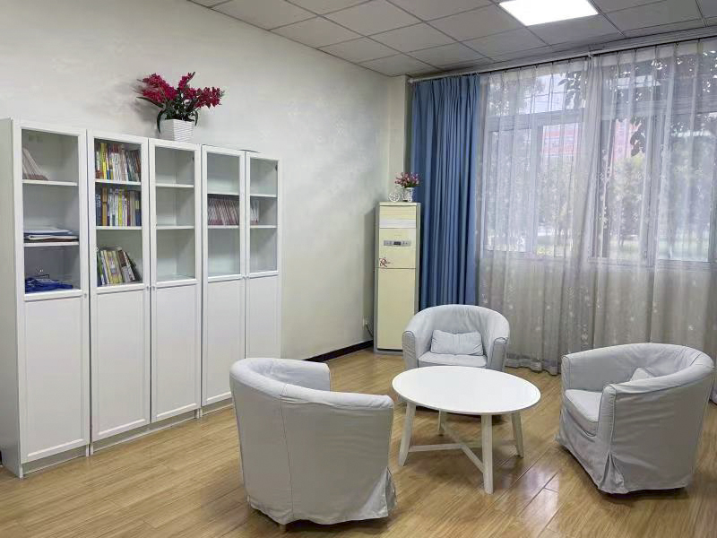 甘肅中小學心理咨詢室建設規劃中的計算機軟件開發路徑